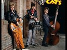 Stray Cats - Live At The Roxy 1981 (Splatter) (NEW VINYL LP)