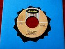 CADILLACS  COOL IT FOOL  VG++  PLEASE MR. JOHNSON  JOSIE  DOO WOP 45