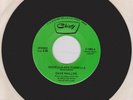 DAVE PHILLIPS Godzilla Ate Tukwilla b/w Picky Picky 1979 Christy 45 RPM Novelty