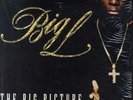 Big L - The Big Picture (1974 - 1999) '00 2xLP US ORG  DJ Premier Lord Finesse