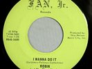 HEAR IT 60's Wis. Garage Rocker 45 rpm Robin & 3 Hoods 