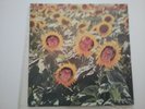 SUNNYBOYS ORIGINAL VINYL ALBUM