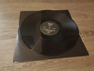 Lectric Workers / Message From The Future p10  vinyl