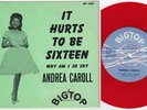 ANDREA CARROLL It Hurts To Be Sixteen *RARE* Sweden 45 TEEN girl group Chiffons