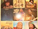 Willie Nelson, 9 Vinyl Record Lot, 6 LP & 3 DLP, 7 US 1st Press, Outlaw Country