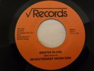 Okiextremist Moon Dog, Reefer Blues/Disco Sucks, Square Root RR 1003, 1978 Psych