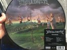Megadeth ?- Youthanasia LP 180 Gram Vinyl PICTURE DISC Album Thrash Metal Record