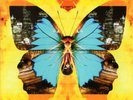 Roxette - Good Karma  | LP | 2016