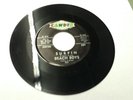 BEACH BOYS - SURFIN / LUAU - PROMO  - 45 7