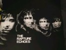 The Rapture Echoes LP Album 2003 1st Ed VGC DFA Record