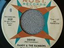 Randy & the Rainbows- Rust Records- 45 RPM-Denise/Comeback
