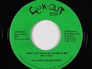 70s Soul Funk 45 - Hamilton Movement - Having A Set - Look-Out - VG+ mp3