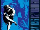 GUNS N' ROSES Use Your Illusion II VINYL 2LP BRAND NEW Use Your Illusion 2