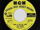 Northern Soul 45 - The Whips - Whip it On Me, Baby - MGM - mp3