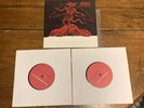 The Mountain Goats Satanic Messiah EP 7” Double Vinyl /666