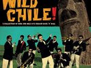 Various Artists-Wild Chile VINYL NEW