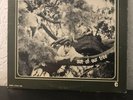 The Wailers Out Of Our Tree LP OG Garage Rock Etiquette ETALBS 026