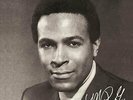 Marvin Gaye - Mpg Vinyl