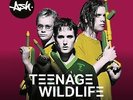 ASH (IRISH GROUP) Teenage Wildlife - 25 Years Of Ash DOUBLE LP VINYL Europe
