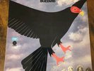 LP Tucky Buzzard 
