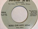 Garage 45 THE ASSORTMENT Bless Our Hippy Home SOUND SPOT First I Look At HEAR