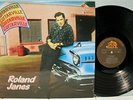 Rare Rock 'n Roll LP - Roland James - Guitarville - OOP - Bear Family - Import