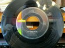 8 45 RPM RECORDS &  4 PICTURE SLEEVES JAN AND DEAN
