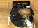 Dave Gahan Kingdom Picture 7