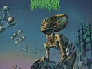 Blood Incantation ?- Hidden History of the Human Race LP Galaxy Colored Vinyl