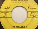 The Chevelle V Come Back Bird/ Koko Joe Askel Records TX Garage Punk RARE 45 7