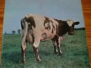 Lp:Pink Floyd:Atom Heart Mother,2.UK Pressung in vg+/m-