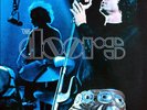 THE DOORS ABSOLUTELY LIVE 2 x LP  BLUE NEW VINYL NUMBERED BLACK FRIDAY RELEASE