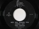 Garage 45 - Leaves - Hey Joe - Mira - mp3 - 1st (whistle) version