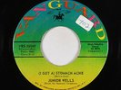 R&B Soul 45 - Junior Wells - Stomach Ache/Shake It Baby  - Vanguard - mp3
