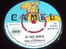 The FEDERALS   IN THIS WORLD b/w YOU BETTER CALL    SKA /  REGGAE UK CAMEL 7