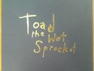 TOAD THE WET SPROCKET - Box Set  RSD 2018 Colored Vinyl Fear Dulcinea 79 of 1500