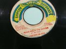 FREDDIE McKAY - PEACE WAS IN THE GARDEN // REVOLUTIONARIES - ADAM   [ FEB153 ]