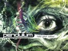 Pendulum - HOLD YOUR COLOUR - 3 LP Box Vinyl NEW & SEALED Set