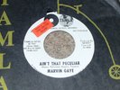 MOTOWN NORTHERN Marvin Gaye Ain't That Peculiar 45 Shiny NM- Tamla 54122 Promo