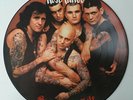 Rose Tattoo - Scarred For Life - Vinyl Picture Disc LP NM