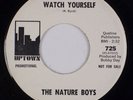 THE NATURE BOYS: Watch Yourself / Do Temptation US Uptown Funk Soul 45