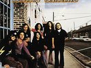 LYNYRD SKYNYRD-PRONOUNCED LEH-NERD SKIN-NERD (TRANSLUCE (UK IMPORT) VINYL LP NEW