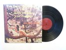 AL ESTILO PENARANDA CON JAIME DE JESUS Y SU CONJUNTO LP CHEESECAKE COVER 3R's