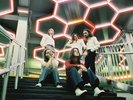 Blossoms : Foolish Loving Spaces VINYL 12