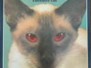 Blink 182 - Cheshire Cat - *Red Eyes* - Vinyl Record - Grilled Cheese - EX COND.
