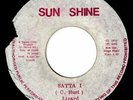 LIZARD-satta i    sun shine  7