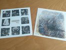 Pixies 12