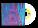 NIRVANA Sliver / Dive 7