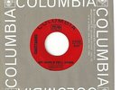 SAGITTARIUS  pop/psych 45  My World Fell Down / Libra  (Gary Usher) - NM