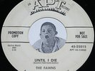 Doo Wop 45 THE FAWNS Until I Die / Come On APT PROMO 7